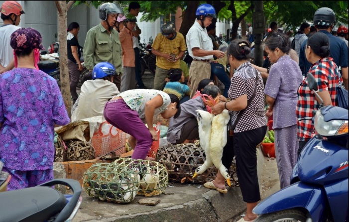 marche-du-nord-est-vietnam