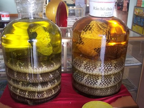 El alcohol de serpiente de Vietnam
