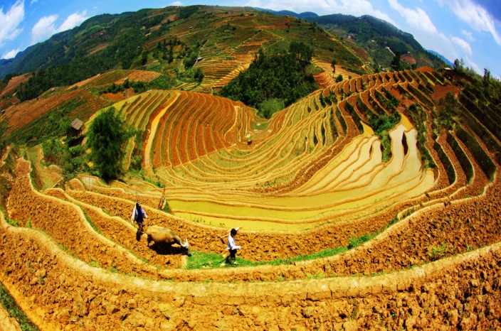 beaux-paysages-du-nord-ouest-vietnam