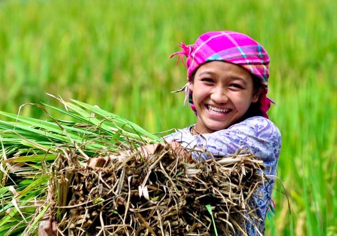 beaux-sourires-du-vietnam