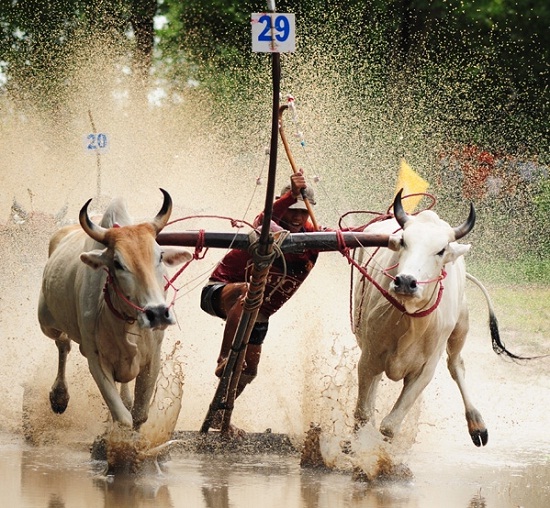belle-photo-de-la-fete-villageois-a-chaudoc-vietnam