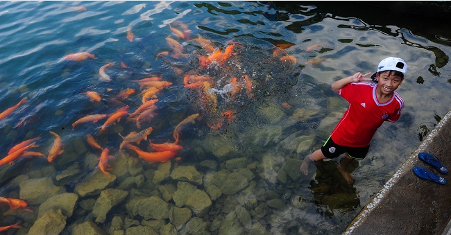 enfant-elevant-des-poissons-a-ninhbinh-vietnam