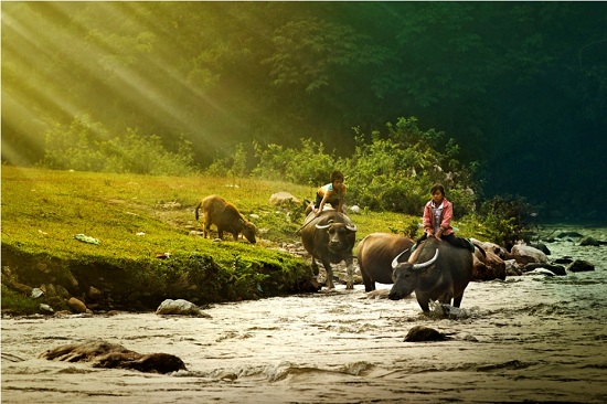 randonee-a-maichau-nord-vietnam-photo