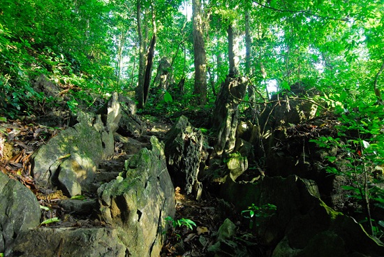 reserve-nationale-de-cuc-phuong