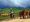 voyage-a-xieng-khouang-au-laos