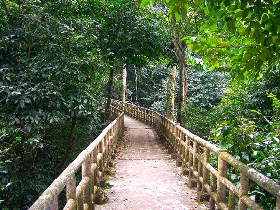 voyage-trek-a-cuc-phuong