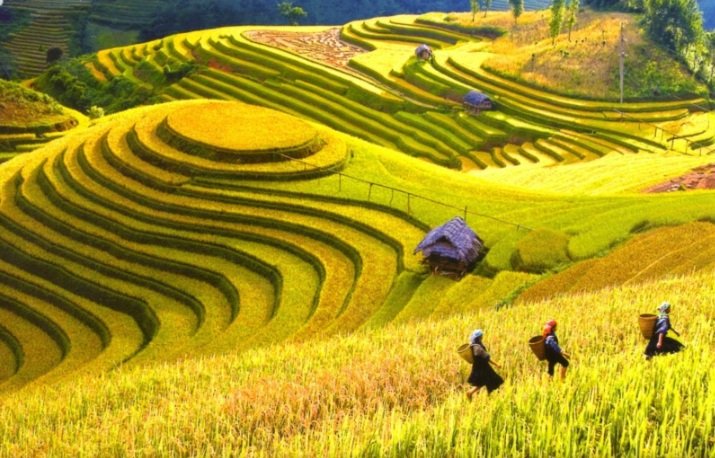  Hermosos-paisajes-del-norte-de-vietnam