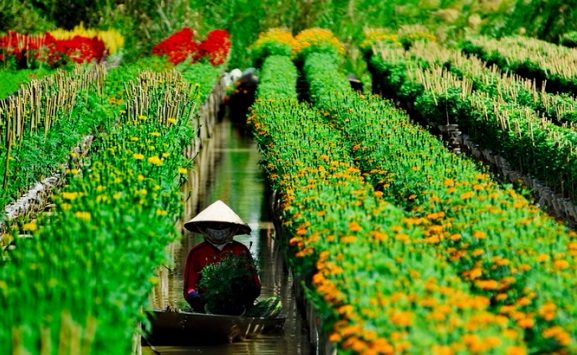 sa-dec-region-des-fleurs-sud-vietnam
