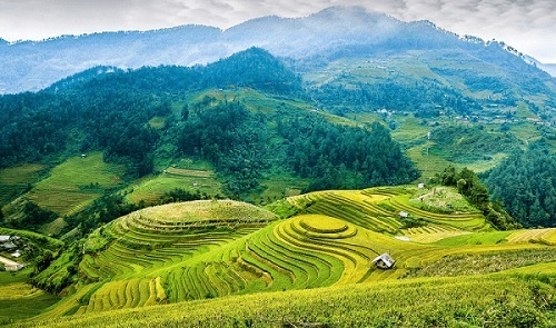 la-terraza-de-arroz-de-Mu-Cang-Chai1