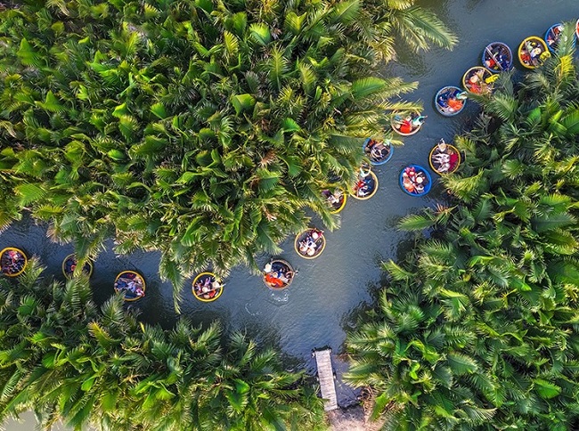 cocoteros de bay mau hoian vietnam viaje