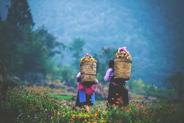 femmes-ethniques-a-ha-giang