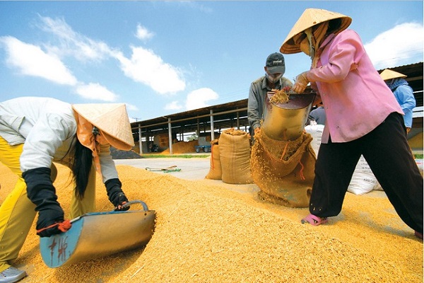 foto del delta del mekong