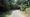 phongcanh3