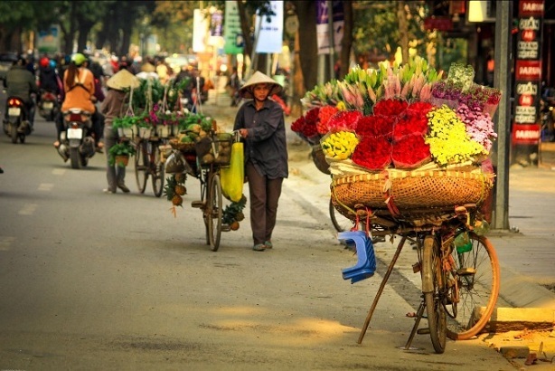photo-fleures-hanoi-vietnam