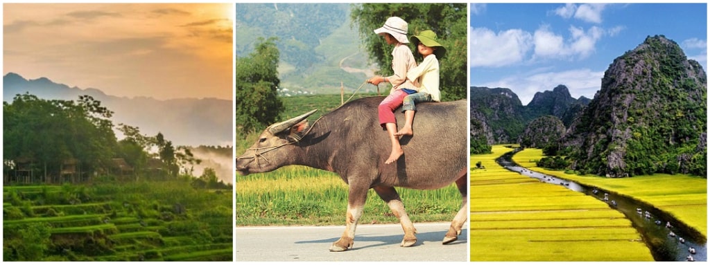 Saveurs et couleurs du Vietnam 2-min