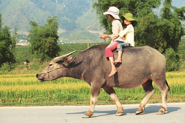 vietnam foto 2