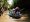 balade-en-sampan-a-mytho