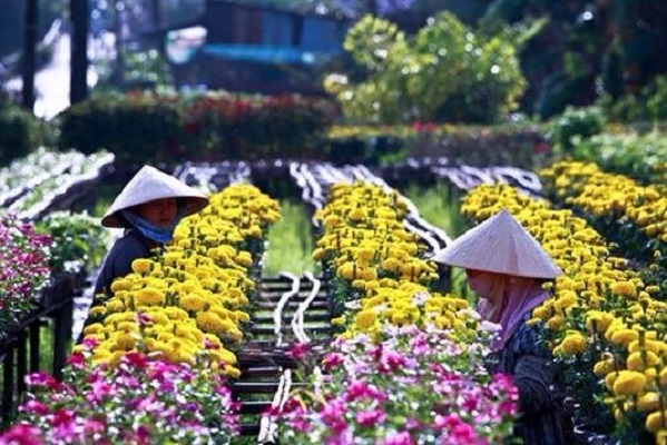 les-femmes-de-sa-dec-sud-vietnam