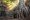 voyage au cambodge belle photo-min