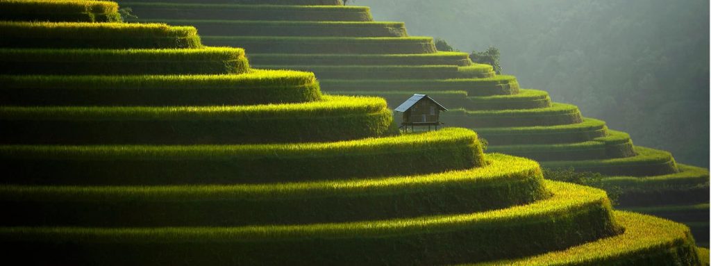 horizon-vietnam-travel photo