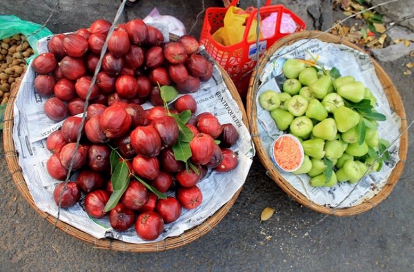 fotos fruta fresca ben tre sur vietnam