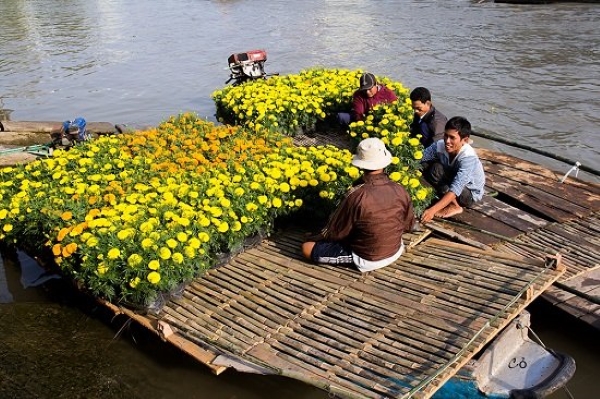 viaje al delta de mekong