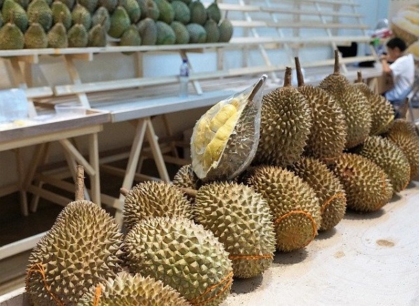 durian fruta exótica de vietnam
